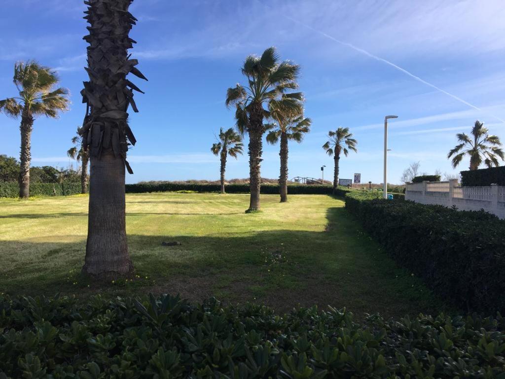 Apartamento A 100 Metros De La Playa Con Grande Terraza Y Vistas Al Mar Daimus Exterior photo